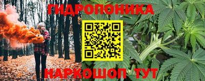 Альфа ПВП Пенза