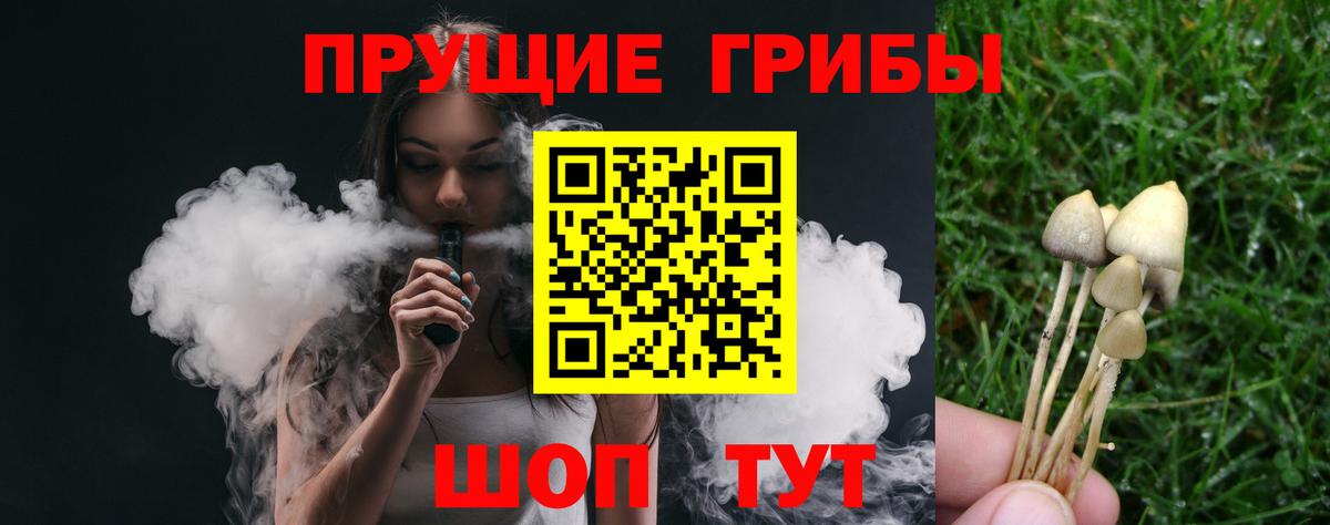 Галлюциногенные грибы Magic Shrooms  Псилоцибиновые грибы Cubensis  Светлоград  Вход с VPN 